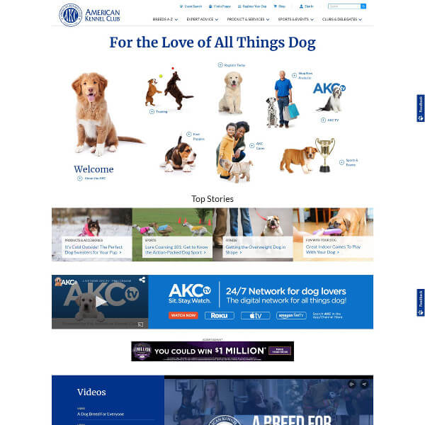 American Kennel Club Website